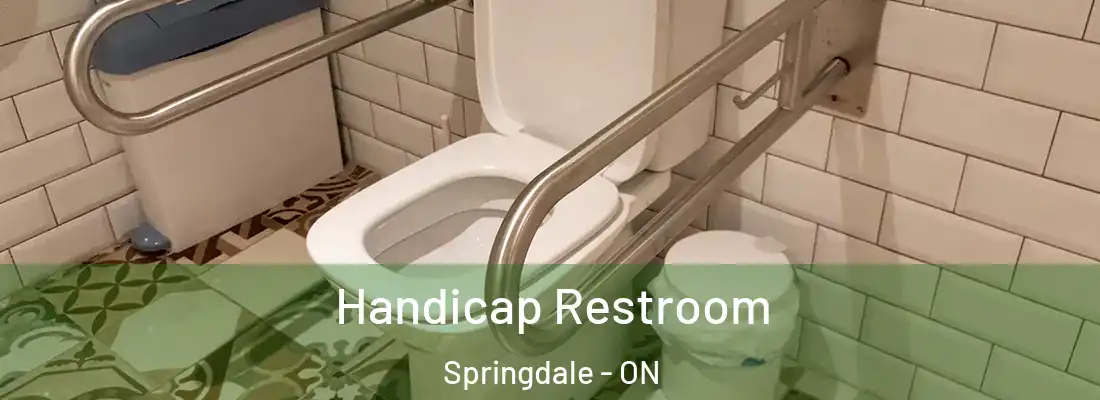  Handicap Restroom Springdale - ON