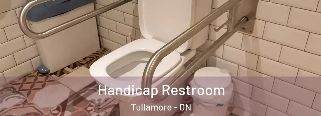  Handicap Restroom Tullamore - ON