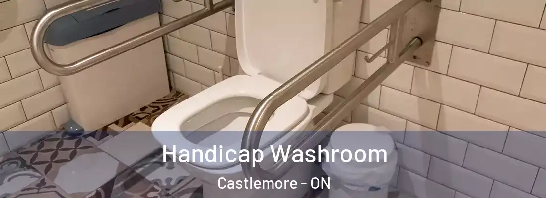  Handicap Washroom Castlemore - ON