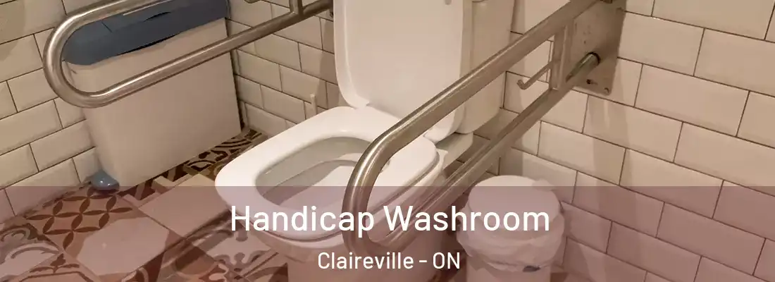  Handicap Washroom Claireville - ON