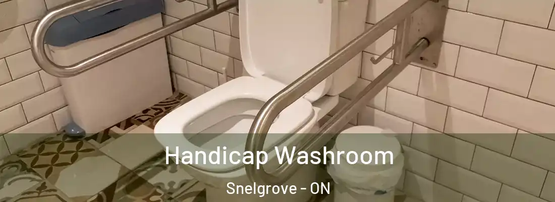  Handicap Washroom Snelgrove - ON