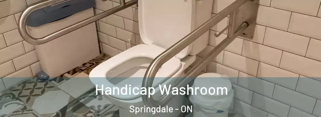 Handicap Washroom Springdale - ON