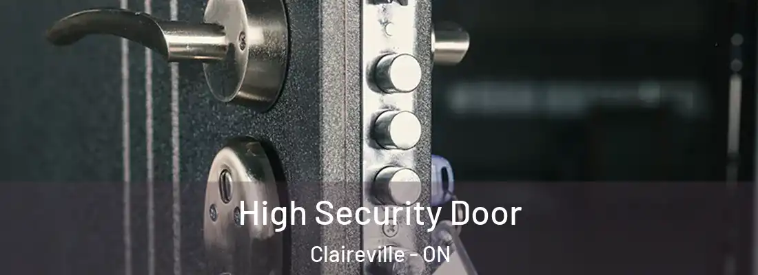  High Security Door Claireville - ON