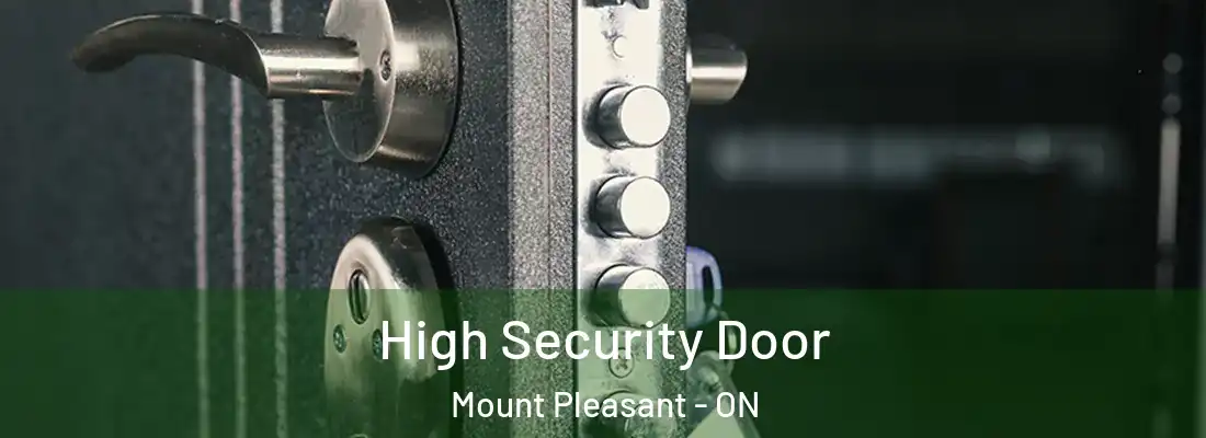  High Security Door Mount Pleasant - ON