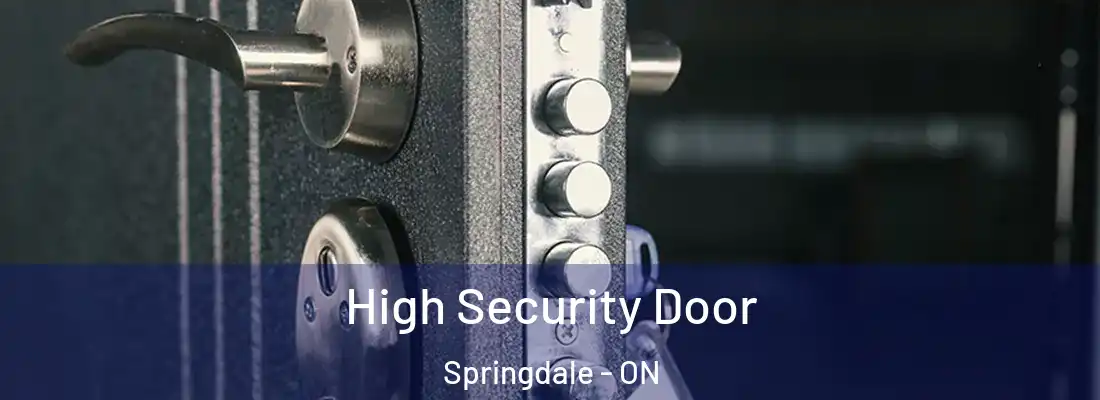  High Security Door Springdale - ON