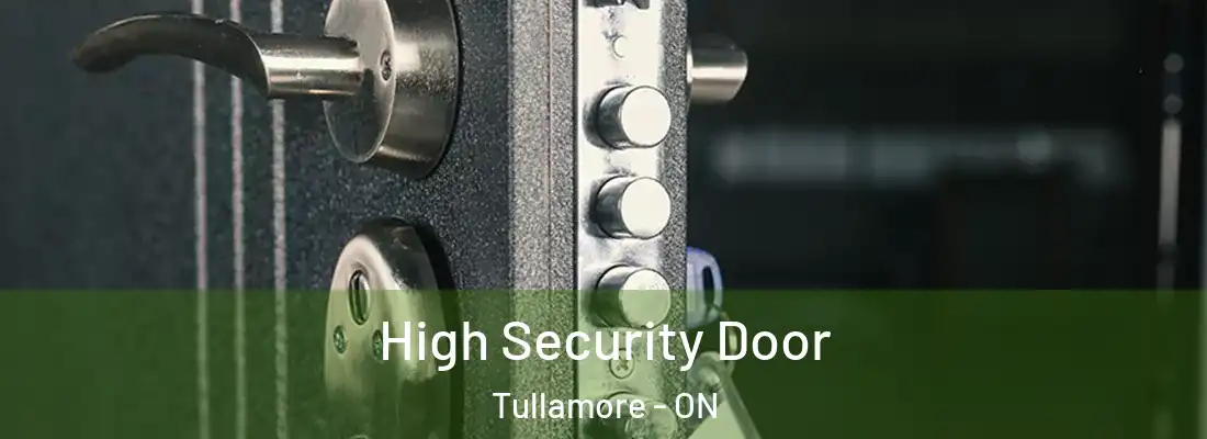  High Security Door Tullamore - ON