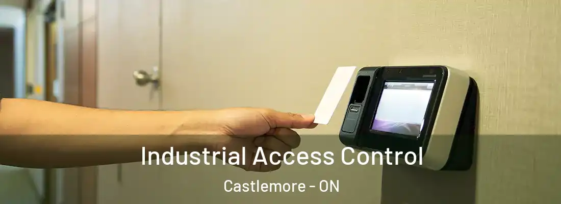  Industrial Access Control Castlemore - ON