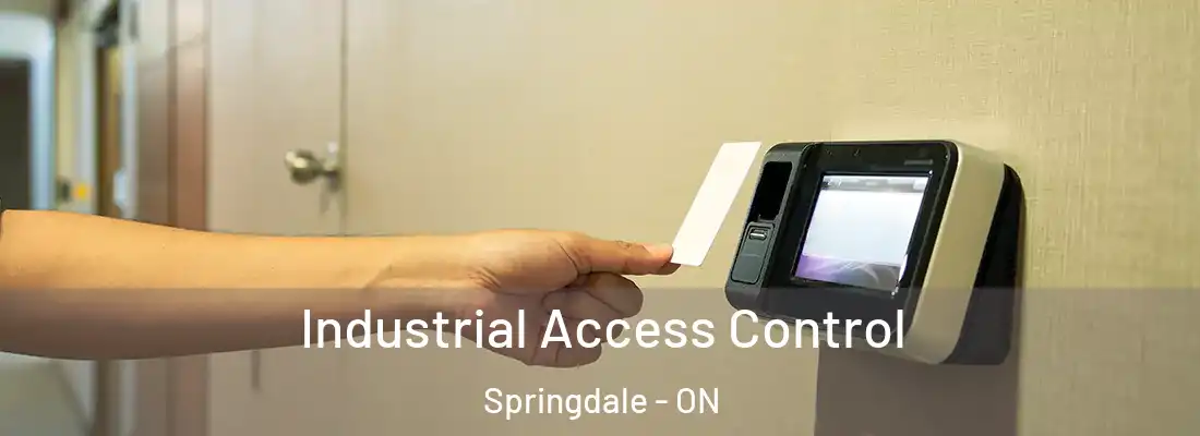  Industrial Access Control Springdale - ON