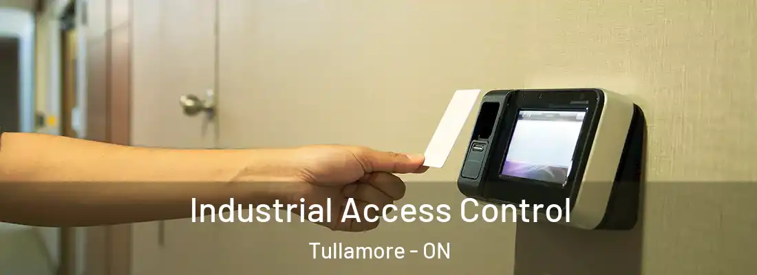  Industrial Access Control Tullamore - ON