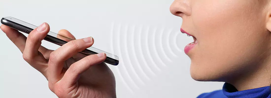 Residential and Commercial Voice Recognition Access Solutions in Brampton, ON