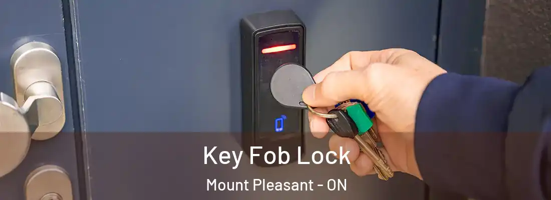  Key Fob Lock Mount Pleasant - ON