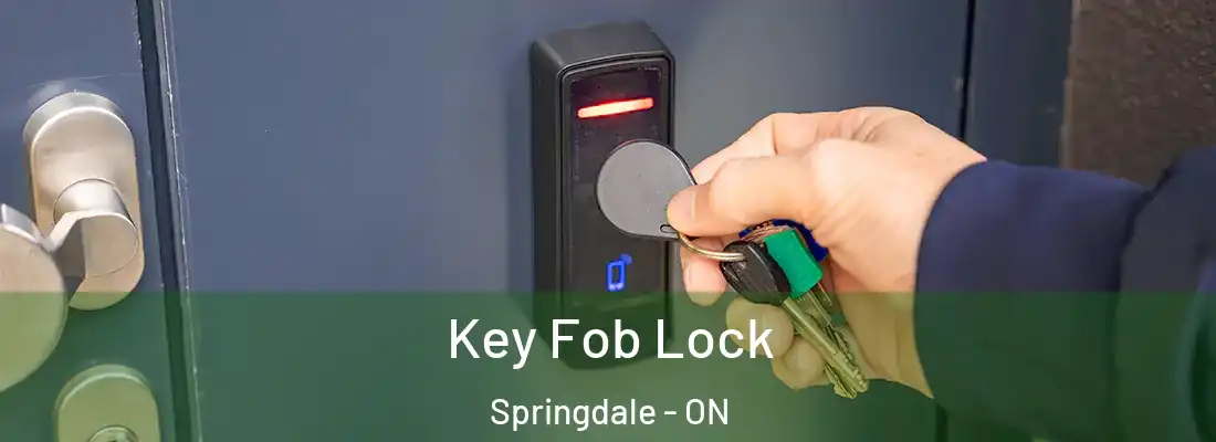  Key Fob Lock Springdale - ON