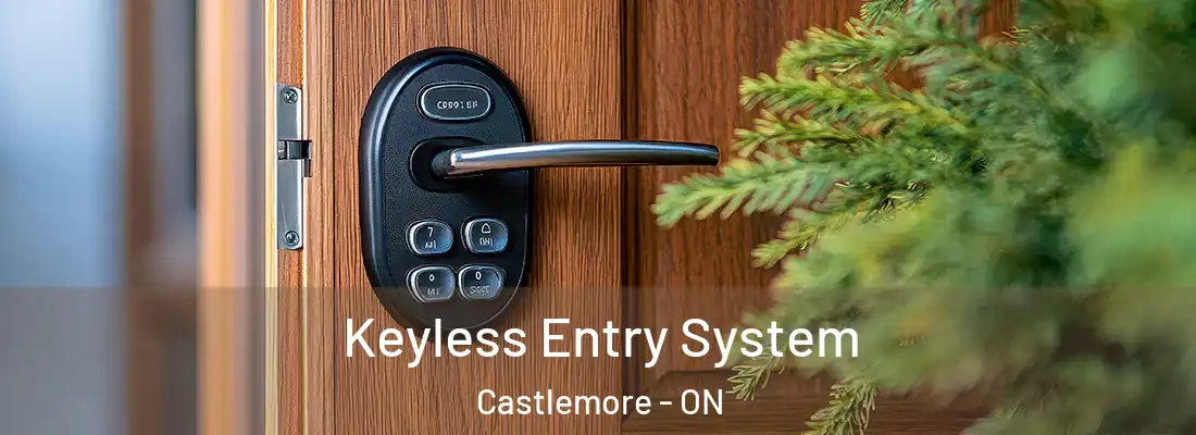  Keyless Entry System Castlemore - ON