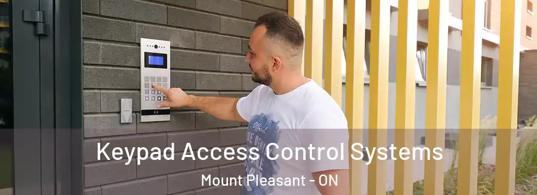  Keypad Access Control Systems Mount Pleasant - ON