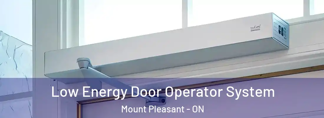  Low Energy Door Operator System Mount Pleasant - ON
