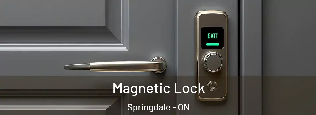  Magnetic Lock Springdale - ON