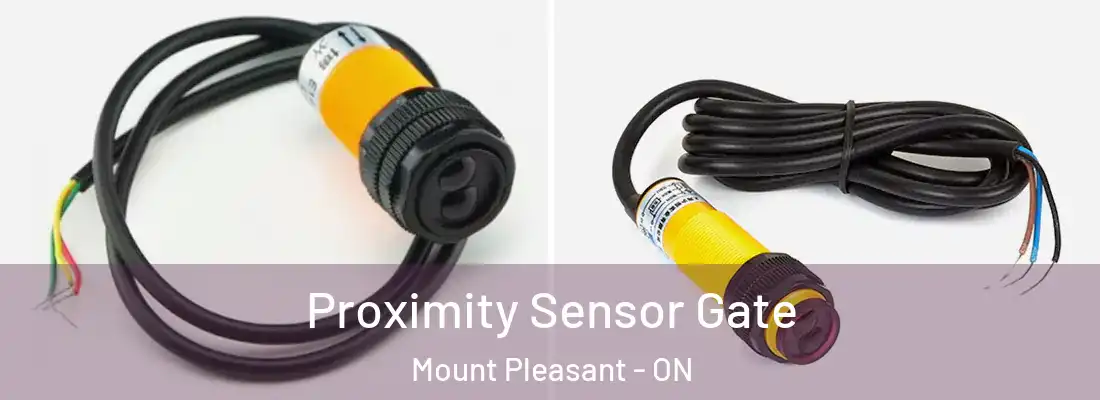  Proximity Sensor Gate Mount Pleasant - ON