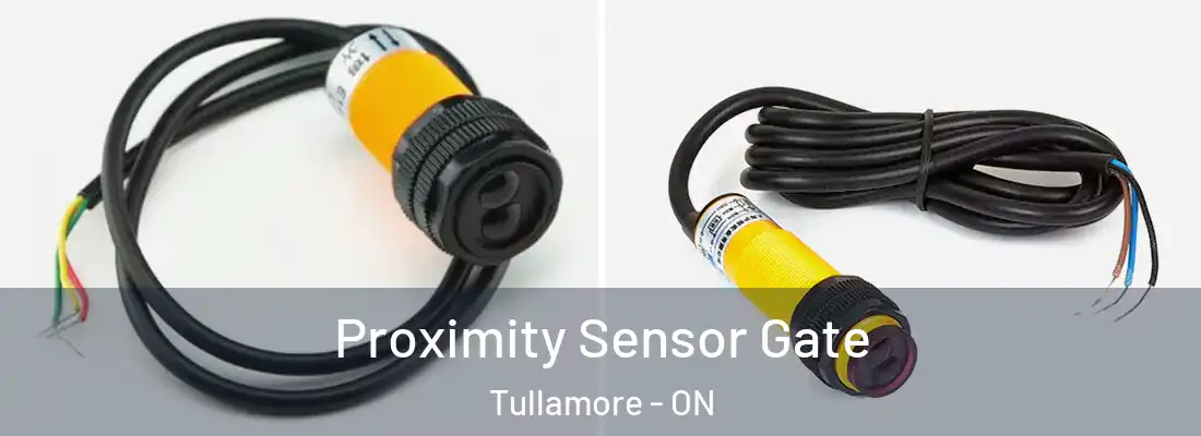  Proximity Sensor Gate Tullamore - ON