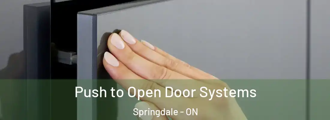  Push to Open Door Systems Springdale - ON