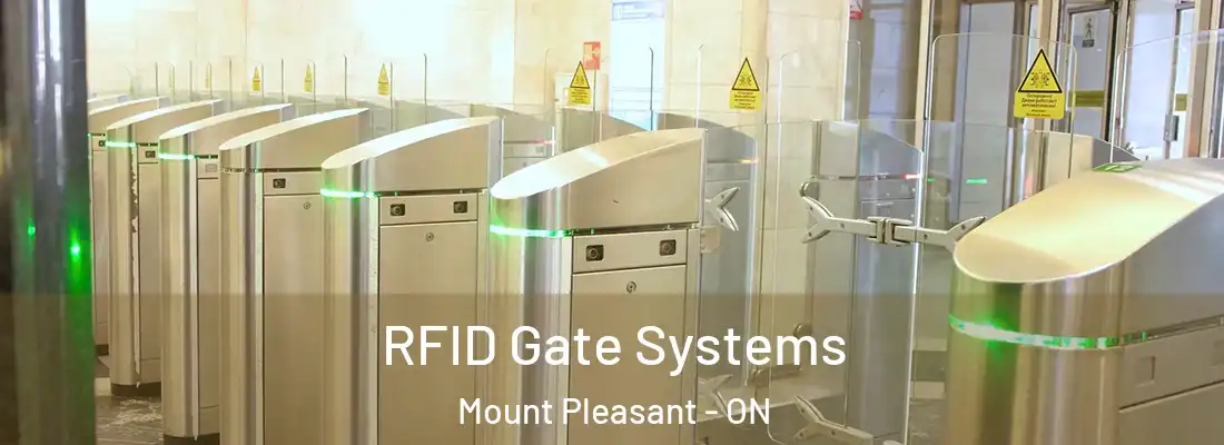  RFID Gate Systems Mount Pleasant - ON