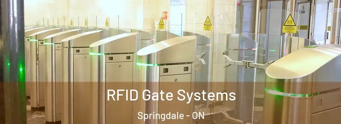  RFID Gate Systems Springdale - ON