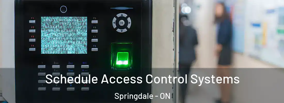  Schedule Access Control Systems Springdale - ON