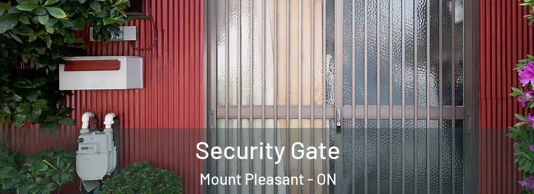  Security Gate Mount Pleasant - ON