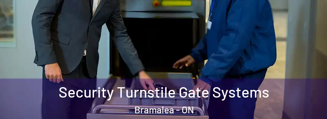  Security Turnstile Gate Systems Bramalea - ON