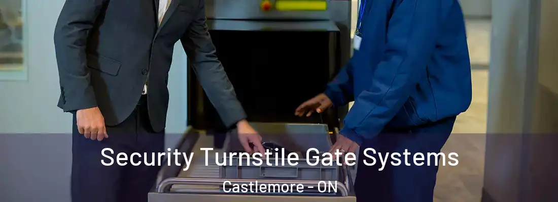  Security Turnstile Gate Systems Castlemore - ON