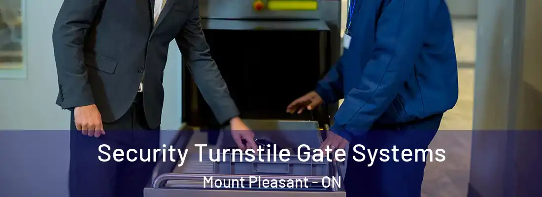 Security Turnstile Gate Systems Mount Pleasant - ON