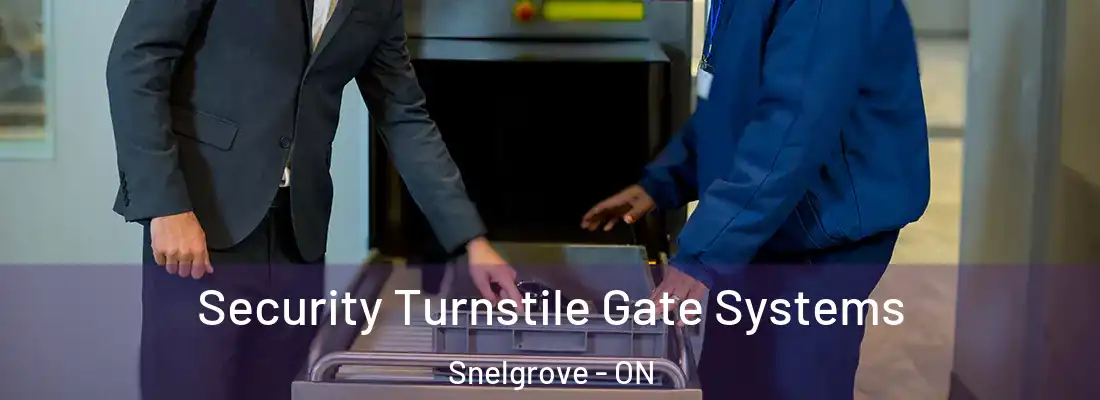  Security Turnstile Gate Systems Snelgrove - ON