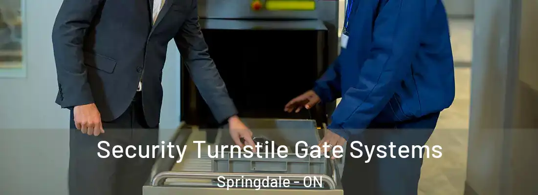  Security Turnstile Gate Systems Springdale - ON