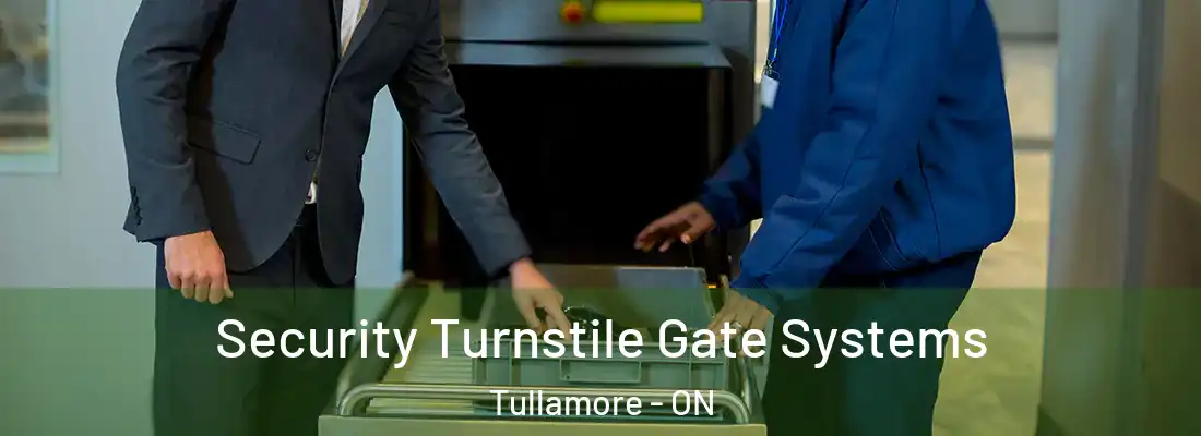  Security Turnstile Gate Systems Tullamore - ON