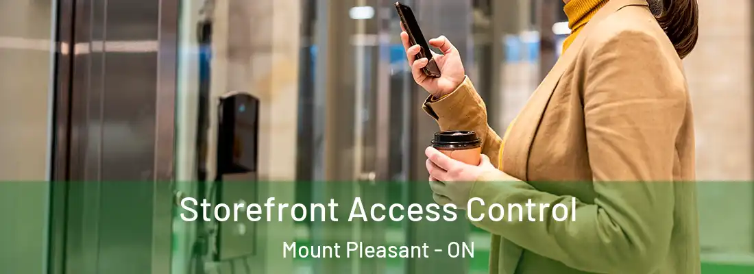  Storefront Access Control Mount Pleasant - ON