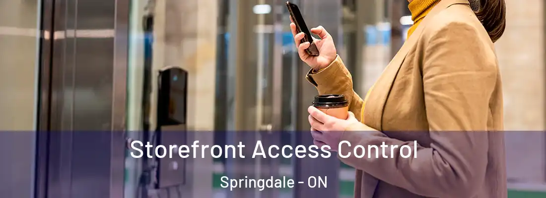  Storefront Access Control Springdale - ON