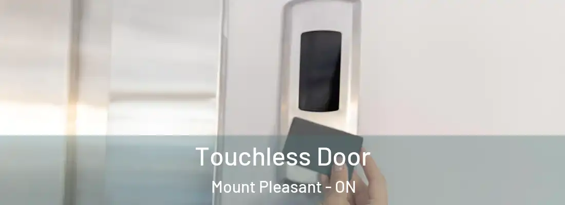  Touchless Door Mount Pleasant - ON