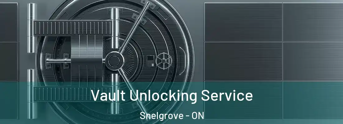 Vault Unlocking Service Snelgrove - ON