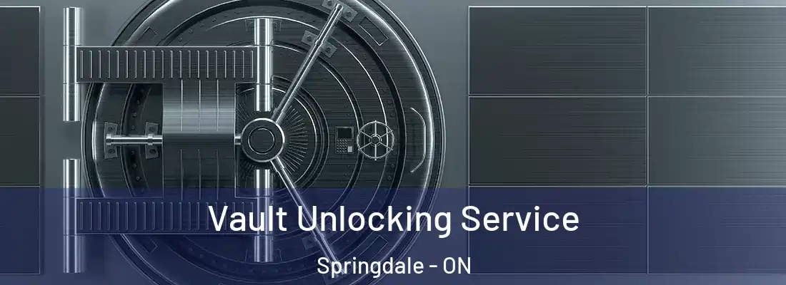 Vault Unlocking Service Springdale - ON