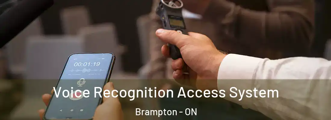  Voice Recognition Access System Brampton - ON